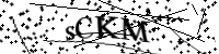 Por favor, escriba las letras y los números siguientes