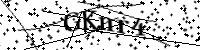 Por favor, escriba las letras y los números siguientes