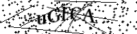Por favor, escriba las letras y los números siguientes