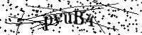 Por favor, escriba las letras y los números siguientes