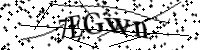 Por favor, escriba las letras y los números siguientes