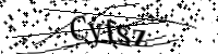 Por favor, escriba las letras y los números siguientes