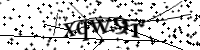 Por favor, escriba las letras y los números siguientes