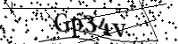 Por favor, escriba las letras y los números siguientes