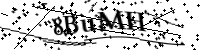 Por favor, escriba las letras y los números siguientes