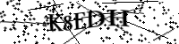 Por favor, escriba las letras y los números siguientes