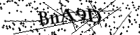 Por favor, escriba las letras y los números siguientes