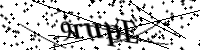 Por favor, escriba las letras y los números siguientes