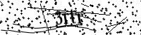 Por favor, escriba las letras y los números siguientes