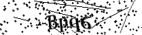 Por favor, escriba las letras y los números siguientes