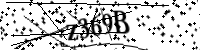 Por favor, escriba las letras y los números siguientes