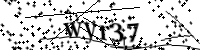 Por favor, escriba las letras y los números siguientes