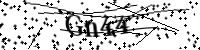 Por favor, escriba las letras y los números siguientes